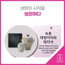 생명의 시작 이미지