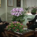 의료법인 선진의료재단 이미지