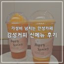 농가마트 공도점 | 가성비 카페 감성커피 메뉴, 가격 / 신메뉴 제주당귤스무디 제주사과당근스무디 제주우도땅콩과자 후기