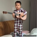 (12/17)아빠와 함께하는 크리스마스 키즈 베이킹_트리케이크 | 2025년 크리스마스 추억