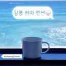 강릉 하파펜션 이미지