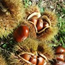 대경농장 이미지