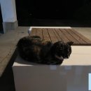 어라운드빌리지 이미지