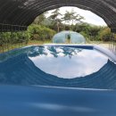 숲속의 농장 이미지