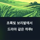 고창전통시장 | &gt;봄 나들이 필수 코스! 고창청보리밭 축제의 매력 탐방!