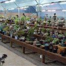 이규태농장 이미지