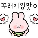 마요트레블 이미지