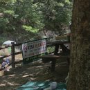 환경시설공단(달성사업소) | 대구 근교 계곡 추천 화원자연휴양림 계곡 물놀이 후기 대구 아이와 가볼 만한 곳