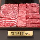 효심축산 | 엄마네한우 1등급 한우 설로인, 추석선물세트, 명절선물 추천