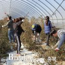 대소면사무소 이미지