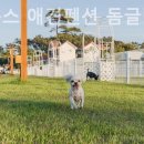 파라독스글램핑 이미지