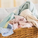 드라이크리닝 이미지