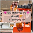 베통 소금빵 인텔리젠시아 커피 강남 고속버스터미널 맛집 내돈내산 후기