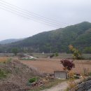 신백의교