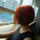 트레보헤어 이미지