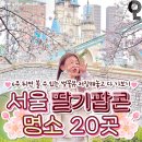 서울 벚꽃 뷰 나들이 명소 20곳 이미지