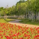 한강시민공원 이미지