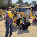 대견농장 이미지