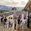 (주)대지인팜 | 강원도 6월 여행지 추천, 고성 하늬라벤더팜 라벤더 축제 화요일 휴무 및 포토존 총정리