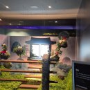 서천 장미공원 | [제주 여행] 제주 아기랑 가볼만한 곳 추천 세계 최대 미로공원 메이즈랜드 후기