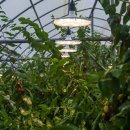 브라운도트호텔 상주점 이미지