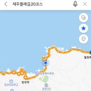 제주도 뚜벅이 올레길 20코스 여자혼자 여행 월정리 세화 맛집카페 기록