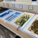 예스펫살롱 이미지