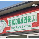 댕댕랜드 이미지