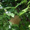 현암농장 이미지