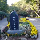 어느날,산책 이미지