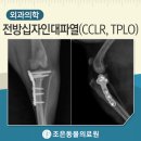 조은동물병원 미용실 이미지