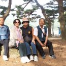 송림투어