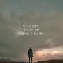 제니스영어 이미지