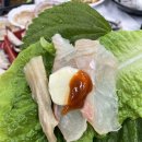 완도수산횟집 네이버블로그