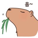 step 복싱 이미지