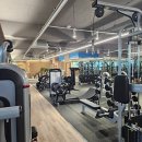 라이브 휘트니스 이미지