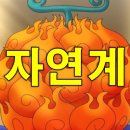 신체의 열매 이미지
