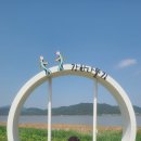 사북천 이미지
