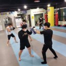 스타복싱 체육관 이미지