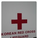 마린슐레 이미지