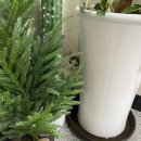 소가담한의원 이미지