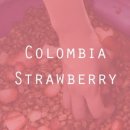 허니소농장 이미지