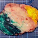 로얄동물암치료센터 이미지