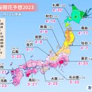 2023 일본 벚꽃 (사쿠라) 개화 예상시기 이미지