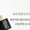 하나미 이미지
