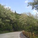 보현정사 앞 이미지