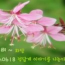 삼거동 고인돌군 이미지