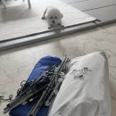 (주)위드레이 | 쏘렌토,카니발,니로 호환가능한 위드차차차 차박실버텐트 추천!