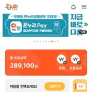 현명안경 & 렌즈베리 이미지