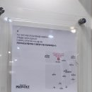 명동 헤어샵 프랑크프로보 여자레이어드컷 후기 (유진 디자이너)
